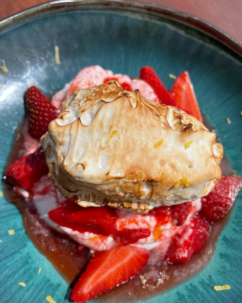 481233969 1439945927344154 8508850411147206524 n